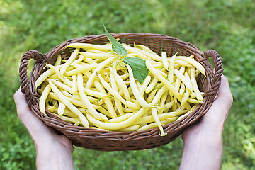 Image showing Yellow wax beans