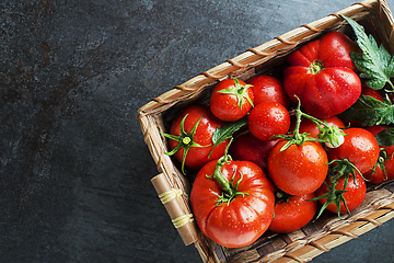 Image showing Tomatoes