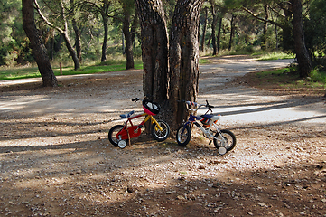Image showing children's bikes with training wheels