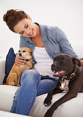 Image showing Woman, sofa and smile with pet dogs for care, love and bonding in home living room, playing and together. Girl, animal family and relax on lounge couch with happiness, lifestyle and cuddle in house