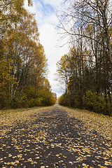 Image showing asphalt road