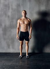 Image showing Muscle workout, body and portrait man confident with determined mindset, gym commitment or discipline. Muscular sports athlete, bodybuilder focus and dedicated fitness person on gray wall background