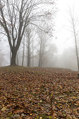 Image showing Park with trees