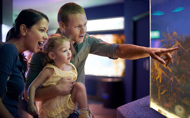 Image showing Aquarium, family and happy child with fish for learning, curiosity or knowledge, bonding or education. Mother, fishtank and girl with father pointing at marine animals underwater in oceanarium.