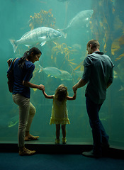 Image showing Aquarium, family and holding hands while looking at fish for learning, care and vacation, bonding or education. Mother, fishtank and girl with father watching marine life underwater in oceanarium