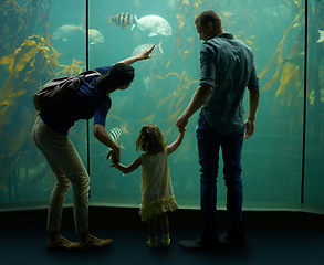 Image showing Family, aquarium and holding hands while pointing at fish for learning, curiosity or knowledge, bonding or care. Father, fishtank and girl with mother watching marine animals underwater in back view.