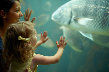 Image showing Mother, aquarium and child looking at fish for learning, curiosity and knowledge, education and bonding. Mom, fishtank and happy girl watching marine life or animals swim underwater in oceanarium.