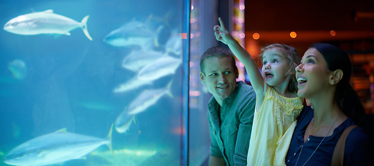 Image showing Family, aquarium and girl pointing at fish for learning, curiosity or education, bonding or care. Mother, fishtank and happy kid with father watching marine animals swim underwater in oceanarium.