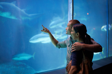 Image showing Smile, aquarium and couple pointing at fish on vacation, holiday or date together. Happiness, oceanarium and man and woman watching marine life, animals swimming underwater in fishtank and hugging