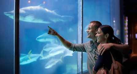 Image showing Aquarium, happy and couple pointing at fish on vacation, holiday and date together. Smile, oceanarium and man and woman watching marine life, animals swimming underwater in fishtank and hugging.