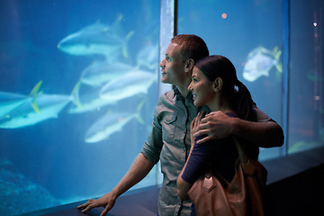 Image showing Aquarium, happy and couple looking at fish on vacation, holiday or date together. Smile, oceanarium and man and woman watching marine life, animals swimming underwater in fishtank and hugging.