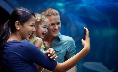 Image showing Aquarium, happy and family selfie by fish on vacation, holiday and trip together. Photo, fishtank and father, mother and girl taking pictures for memory, social media or profile picture in oceanarium