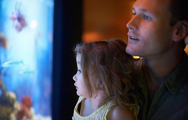 Image showing Father, aquarium and child looking at fish for learning, curiosity and knowledge, education and bonding together. Dad, fishtank and girl watching marine life or animals swim underwater in oceanarium.