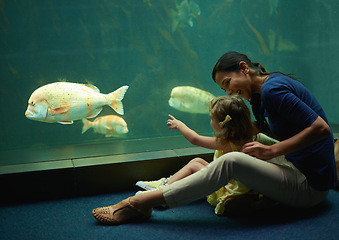 Image showing Mother, aquarium and girl pointing at fish for learning, curiosity or knowledge, nature and bonding together. Mom, fishtank and happy kid watching marine life or animals swim underwater in oceanarium