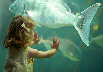 Image showing Girl, aquarium and kid looking at fish for learning, curiosity and knowledge, development and nature. Education, fishtank and child watching marine life or animals swim underwater in oceanarium.