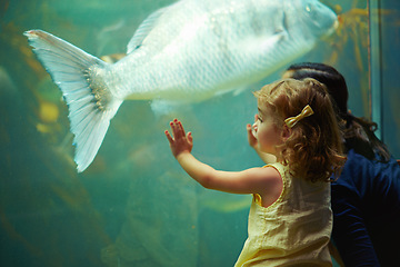 Image showing Mother, aquarium and girl looking at fish for learning, curiosity and knowledge, bonding and nature. Mom, fishtank and kid watching marine life or animals swim underwater in oceanarium on vacation.