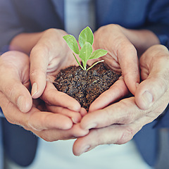 Image showing Hands, group and business with plant, growth or together for support, helping hand or closeup for sustainability. Team, people and seedling in soil, solidarity or teamwork for development at startup