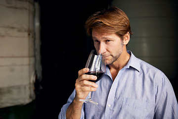 Image showing Wine, smell and man with a glass in a distillery on a farm for the production or fermentation of alcohol. Cellar, industry and scent with a mature male farmer smelling a beverage for quality control