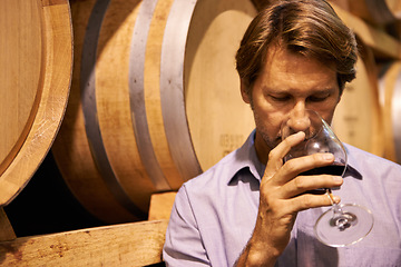 Image showing Wine, taste and a man in the cellar of a distillery on a farm for the production or fermentation of alcohol. Glass, industry and barrel with a male farmer drinking a beverage for quality control