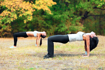 Image showing Women, exercise stretching and workout in a outdoor park for yoga and fitness. Health, wellness and balance of female friends in nature on grass feeling happy and relax from body care and sport