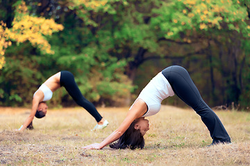 Image showing Women, yoga stretching and downward dog in a outdoor park for pilates and fitness. Health, wellness and balance stretch of female friends in nature on grass feeling relax from body care and sport