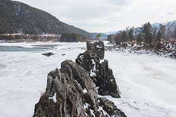 Image showing Fast mountain river Katun at winter