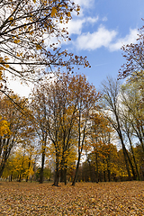 Image showing features of autumn weather