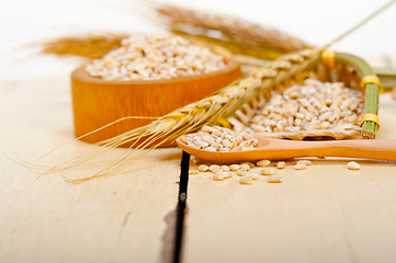 Image showing organic wheat grains