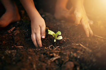 Image showing Hands, plant and boy with soil, garden and nature with environment, sustainability or leaves. Zoom, male child or young person with sand, growth or eco friendly with clean energy, closeup and ecology