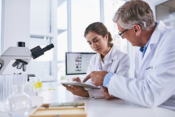 Image showing Scientist, tablet and team in forensic science looking at experiment results or collaboration at laboratory. Woman and man in medical research working on technology for scientific research in the lab