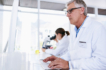 Image showing Scientist, man and computer in science research, experiment or data results at laboratory. Senior male typing in medical healthcare working on pc or technology in forensic or scientific lab for cure