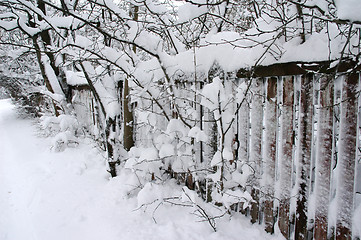 Image showing yard at winter