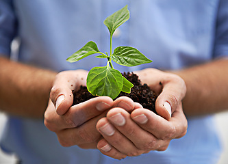 Image showing Soil, plants and hands of person, growth and sustainability of earth day, charity and investment. Sustainable world, care and closeup of leaf, sand and green future of hope, climate change and planet