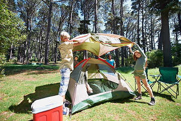 Image showing Children, tent and team camping in forest for shelter, cover or insurance together on the grass in nature. Happy kids in teamwork setting up tents for camp adventure or holiday vacation in the woods