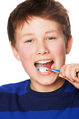 Image showing Portrait, smile and child brushing teeth in studio isolated on a white background. Face, boy and kid with tooth brush for oral health, hygiene and dental wellness, fresh breath and cleaning gums.