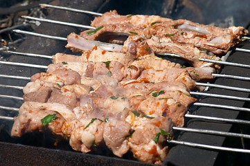 Image showing shashlik