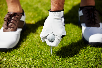 Image showing Golf ball, tee and hands of man on grass field for contest, competition challenge and sports target on course. Closeup, lawn and golfer gloves with pin in ground for action, games and training gear