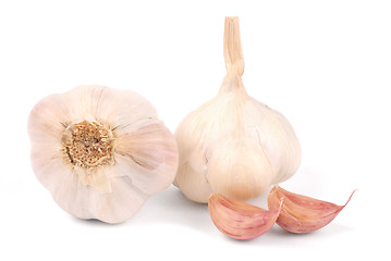 Image showing Garlic