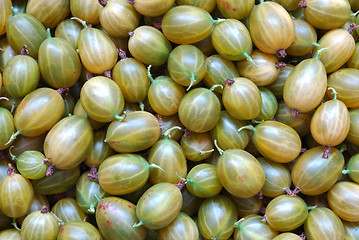 Image showing Gooseberry