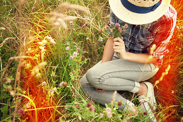 Image showing Lens flare, field and woman picking flower in countryside for freedom, wellness and fresh air outdoors. Wildflowers, spring and hipster female person in meadow for relax or sustainability in nature