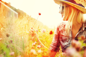 Image showing Woman picking flower in field with lens flare for freedom, wellness and fresh air in countryside. Nature, summer and hipster female person in natural meadow for relax, sustainability and ecology