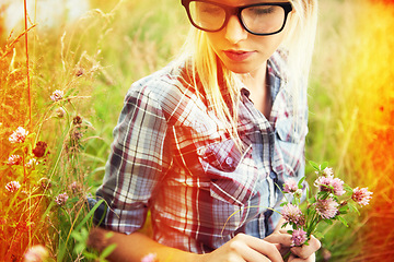 Image showing Lens flare, spring and woman picking flower in countryside for freedom, wellness and fresh air outdoors. Nature, hipster and female person in natural meadow for sustainability and ecology in summer