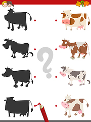 Image showing shadow activity game with cows