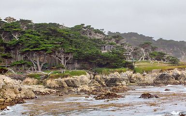 Image showing idyllic coastal scenery in California