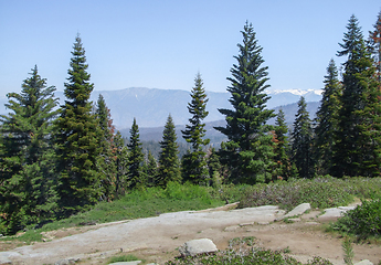 Image showing Sequoia National Park