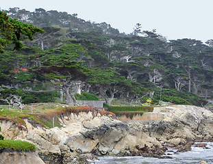 Image showing idyllic coastal scenery in California