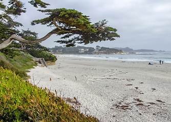 Image showing idyllic coastal scenery in California