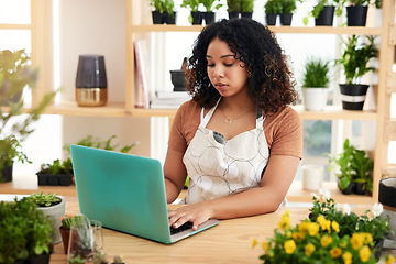 Image showing Laptop, search and plant with woman in small business for planning, networking and website. Entrepreneurship, startup and technology with female botanist for nature, green and garden shop