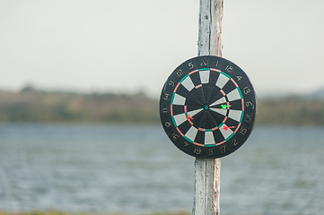 Image showing darts at the nature