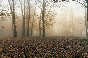 Image showing Park in the autumn